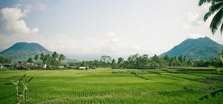 Hilangnya Hak Milik dan Hak Menuntut Atas Tanah Yang Ditelantarkan Pemilik? Hilangnya Hak Milik dan Hak Menuntut Atas Tanah Yang Ditelantarkan Pemilik?